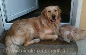 Lola und JohnBoy_klein