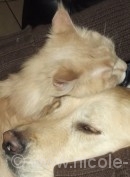 Gute Nacht!