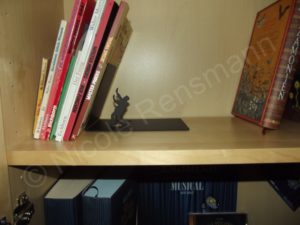 Bei den dünnen Büchern stützt "Falling Bookend" so wie sie soll.